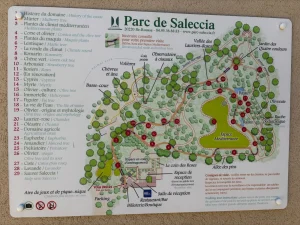 Parc de Saleccia