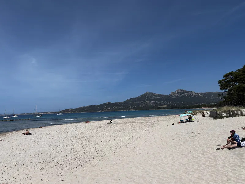 Plage de Calvi - La Pinède